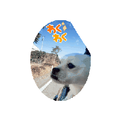 ruru_20250210173644