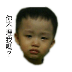 可愛小柏