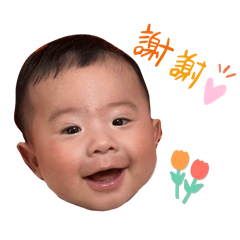吳董表情包