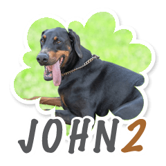 Doberman John Sticker Part2