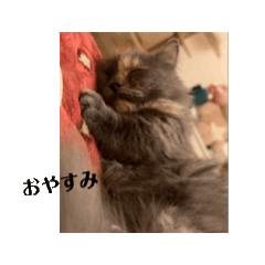 himechan!!!!