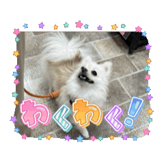 sachi_20250211001910
