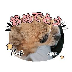 ai_20250211104106