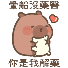 capybara pudding-sweet nothing