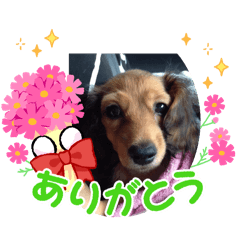 miniminiminichan