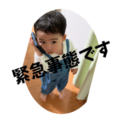 papapapapapa16