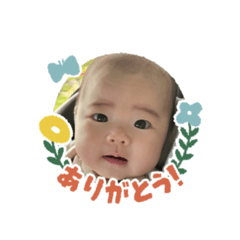cute babies 6v6
