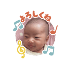 koto_20250210154844