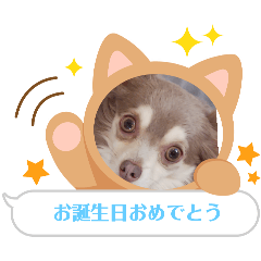 mikan_20250210192655