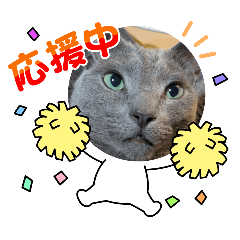 masakichi_20250210194304