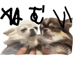 hana_20250210201616