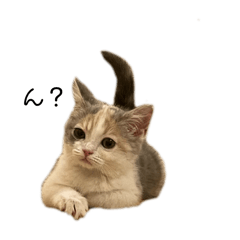 jijijijijijiji38