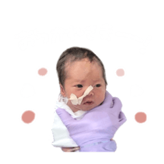 bibi_20250210155831