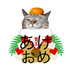 yuki yuki_20250210165706 - Stiker LINE | LINE STORE