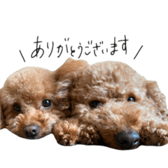 imo_20250210211844