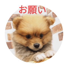 Hiroki_20250210200302