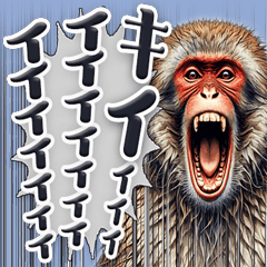 Screaming Japanese macaque 2 [Daily]