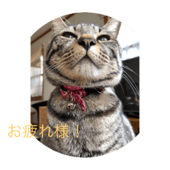 Aki_20250210212239