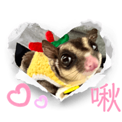 日常賣萌