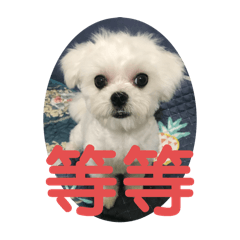 ❼是小公舉