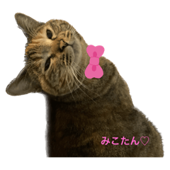 yuko_20250210224834