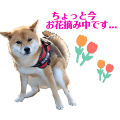 Mame_20250210221859