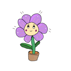 flower_20250211132144