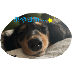 riho_20250211093547