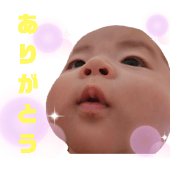 megu_20250211155214