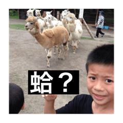 Tim的成長史買到賺到1.0