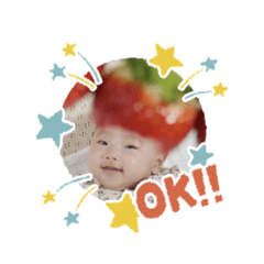 taro_20250211000804