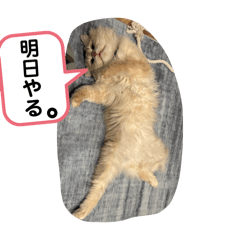 akira_20250211001805