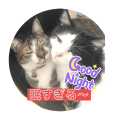 KURO_20250211035137