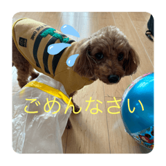 yuka_20250211120223