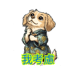 小小邊牧出遊