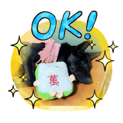 阿喜（小名Momo醬）
