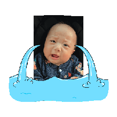 鴻宇