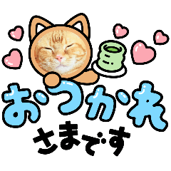 maple_20250211152253