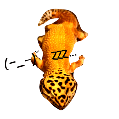 Hyo-mon_20250211082310