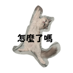 阿哺阿娜