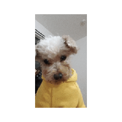 rin_20250211171728