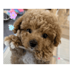 runa_20250211170933