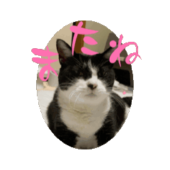 kaoru_20250211221736