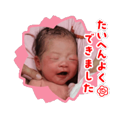 hikari_20250211212206
