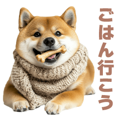 Shiba dog greeting2