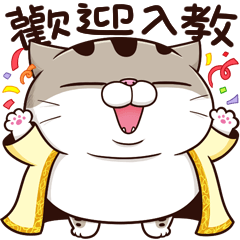 fat cat Ami 19