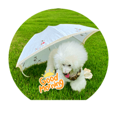 Shin_20250211105332
