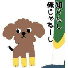 Cute Poodle's Fun Messages 1