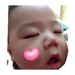 SHIN_20250211143147