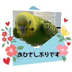 michan_20250211153447